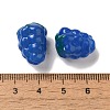 Handmade Lampwork Beads Strands LAMP-G162-05B-4