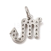 Brass Micro Pave Cubic Zirconia Charms KK-E077-02P-10-2