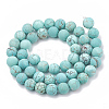 Natural Howlite Beads Strands X-G-T106-185-1-3