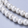 Round Shell Pearl Matte Surface Bead Strands X-BSHE-M011-08-4mm-5