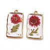 Transparent Clear Epoxy Resin Pendants RESI-L036-04G-01-2