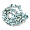 Natural Larimar Beads Strands G-P302-03-6