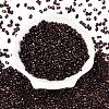 Picasso Spray Painted Glass Seed Beads SEED-T006-04-23-1