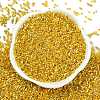 Baking Paint Silver Lined Glass Seed Beads SEED-H003-09B-3