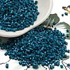 Glass Cylinder Beads SEED-Q036-01A-D06-4