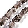 Natural Smoky Quartz Beads Strands G-B072-C01-01-2