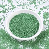 MIYUKI Round Rocailles Beads X-SEED-G007-RR0646-2