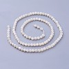 Natural Shell Beads Strands X-G-F619-27-3mm-2