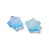 Frosted Acrylic Charms OACR-M023-04F-2