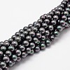 Shell Pearl Bead Strands BSHE-L025-05-6mm-1