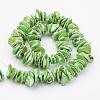 Natural Shell Bead Strands BSHE-P010-05-2