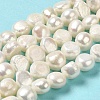 Natural Cultured Freshwater Pearl Beads Strands PEAR-E017-19-2