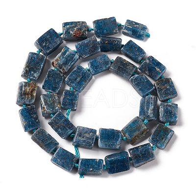 Natural Kyanite Beads Strands G-F719-08-1