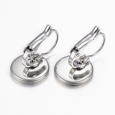 Tarnish Resistant 304 Stainless Steel Leverback Earring Findings STAS-H423-03P-1