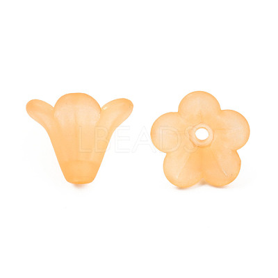 Frosted Acrylic Beads PL692-15-1