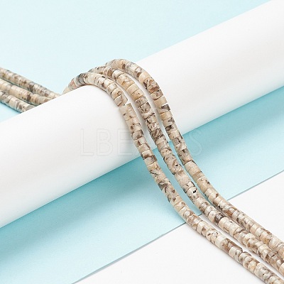 Natural Feldspar Beads Strands X-G-H230-47-1