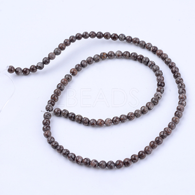 Natural Snowflake Obsidian Beads Strands G-Q462-10mm-37-1
