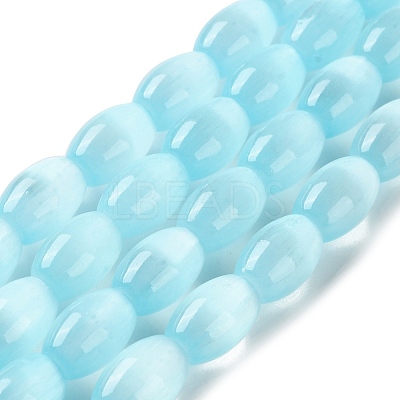 Macaron Color Natural Selenite Beads Strands G-B102-A01-06-1