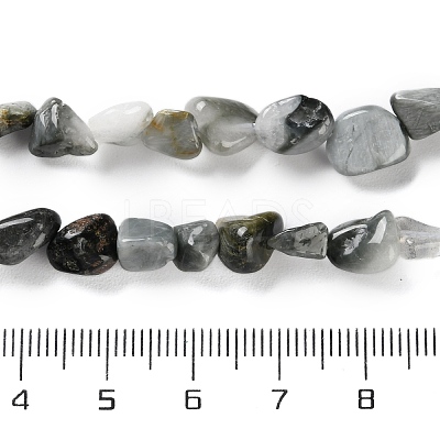 Natural Eagle Eye Stone Beads Strands X-G-P497-01C-52-1