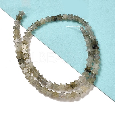 Natural Labradorite Beads Strands G-G085-B25-02-1