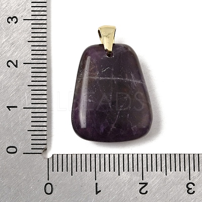 Natural Banded Amethyst Pendants G-C282-03K-1