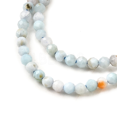 Natural Larimar Beads Strands G-G259-D13-2mm-1