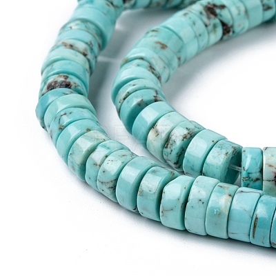 Natural Magnesite Beads Strands TURQ-L030-04C-01-1