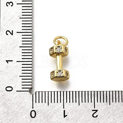 Brass Micro Pave Cubic Zirconia Charms KK-P295-19G-1