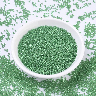 MIYUKI Round Rocailles Beads X-SEED-G007-RR0646-1