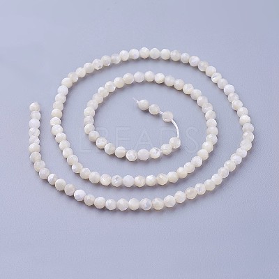 Natural Shell Beads Strands X-G-F619-27-3mm-1