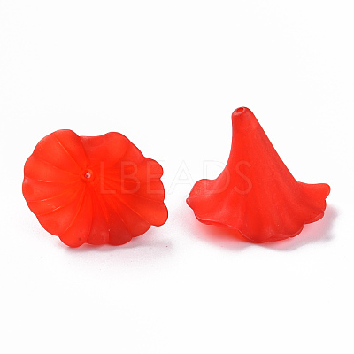 Transparent Acrylic Beads BSF796M-1