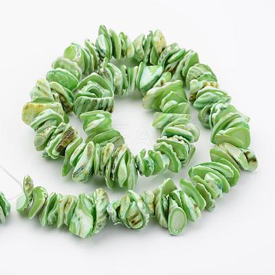 Natural Shell Bead Strands BSHE-P010-05-1