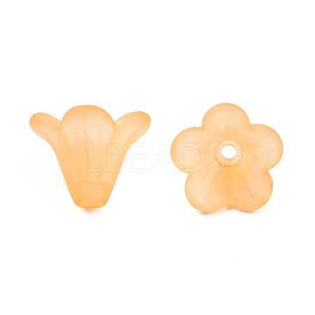 Frosted Acrylic Beads PL692-15-1