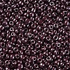 6/0 Glass Seed Beads SEED-US0003-4mm-126-2