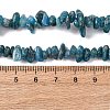 Natural Apatite Beads Strands G-F666-01B-02-01-5