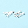 Alloy Charms TIBE-R313-049S-3