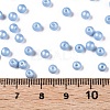 Glass Seed Beads SEED-T007-01N-4