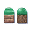 Transparent Resin & Walnut Wood Pendants RESI-T035-32A-2