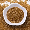 MIYUKI Delica Beads SEED-MY11-DB0065-2