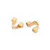 Brass Wire Guardian and Protectors KK-F916-07B-G-2