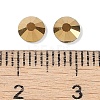 Glass Flat Back Rhinestone RGLA-C002-SS20-567-2