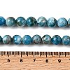 Natural Apatite Beads Strands G-G858-01B-01-4