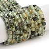 Natural Prehnite Beads Strands X-G-B088-E16-04-1