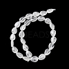 Natural Quartz Crystal Beads Strands G-K357-A20-01-3
