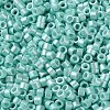 Baking Paint Glass Seed Beads X-SEED-S042-15A-09-3