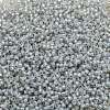 TOHO 11/0 Round Beads X-SEED-TR11-2101-2