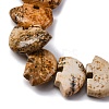 Natural Picture Jasper Beads Strands G-F783-G03-01-5