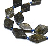 Natural Labradorite Beads Strands G-K245-E07-02-3