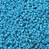 Cylinder Seed Beads SEED-H001-H10-3