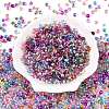 6/0 Baking Paint Transparent Fringe Glass Seed Beads SEED-N006-06-2